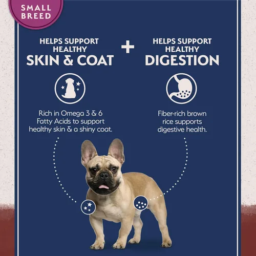 Miniatura 3 de Natural Balance Alimento seco para perros adultos de raza pequeña con ingredientes limitados, granos saludables, carne de res y arroz integral, 4