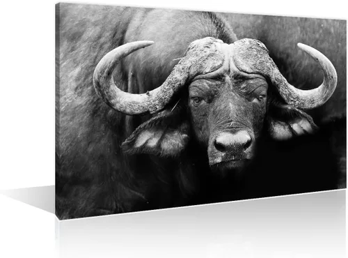Miniatura 11 de Arte de pared en blanco y negro con diseño de vaca escocesa de las tierras altas en la Isla de Mull impresiones sobre lienzo, decoración del hogar