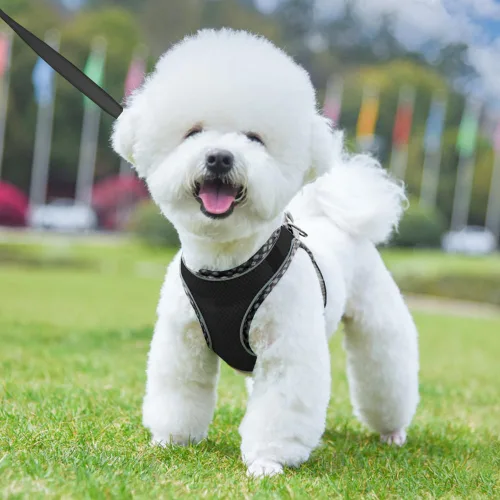 Miniatura 7 de Arnés para perro para perros pequeños y medianos sin tirones, ajustable para cachorros, arnés de malla transpirable reflectante para mascotas