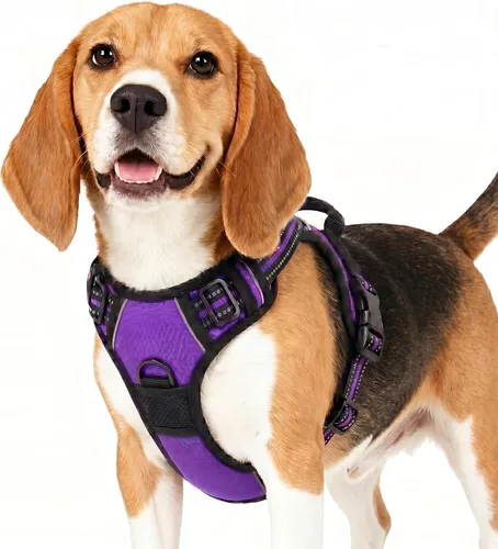 Miniatura 4 de Funfox Arnés para perro sin tirones, chaleco ajustable para mascotas con asa de control y clip frontal, diseño reflectante para perros pequeños