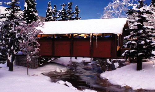 Miniatura 3 de Nieve 3.6 pulgadas cúbicas
