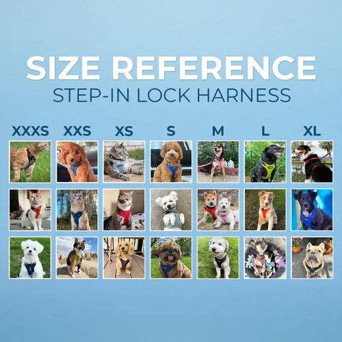 Miniatura 6 de Best Pet Supplies Voyager Step-in Lock - Arnés para mascotas con correa reflectante para mascotas, con mango de neopreno de 5 pies, soporta