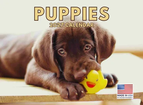 Miniatura 54 de Calendario Goldendoodle 2027 Golden Doodle mensual de pared, 12 meses 8-Calendar