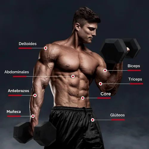 Miniatura 4 de RitFit Juego de mancuernas hexagonales recubiertas de goma con estante, 5-780 libras para entrenamiento de fuerza en el gimnasio en casa, mango