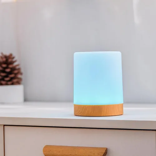 Miniatura 5 de Globe Electric Lámpara táctil portátil multicolor recargable integrada LED con cable USB incluido