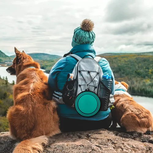 Miniatura 6 de Cuencos plegables para perros, paquete de 2 unidades de tamaño grande para perros grandes/medianos, cuencos de agua de viaje para mascotas, cuenco