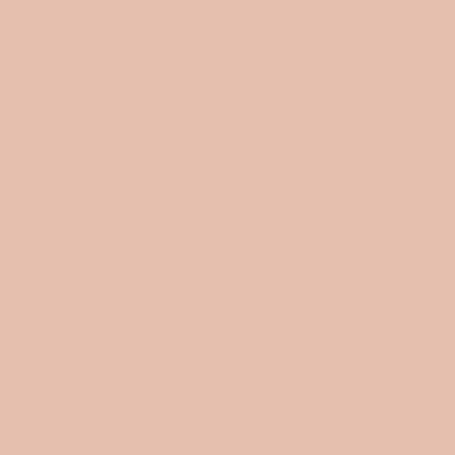 Miniatura 2 de Rust-Oleum 355035 Painter's Touch 2X Ultra Cover - Pintura en aerosol de 12 onzas, rosa rústico ultra mate (paquete de 2)