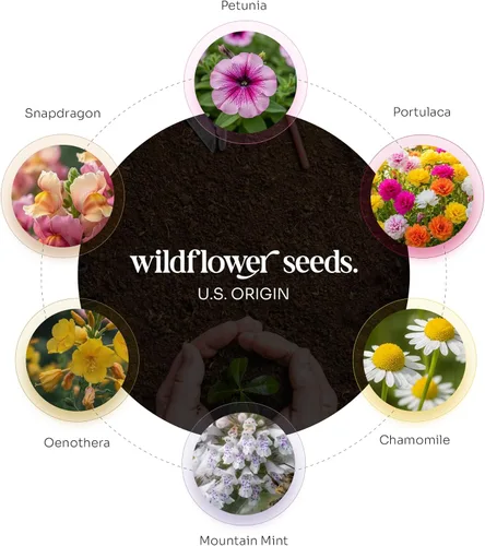 Miniatura 7 de Combo Seed Paper - 24pcs Hearts & 24pcs Butterflies, Writable & Plantable Wildflower Gifts for Mom this Mother’s Day, Use for Shower Favors