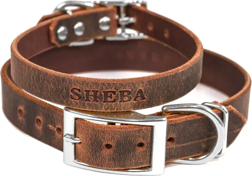 Collar de perro de cuero de brida personalizado hecho a mano, nombre de mascota grabado, herrajes en tono níquel/plateado (marrón desgastado)