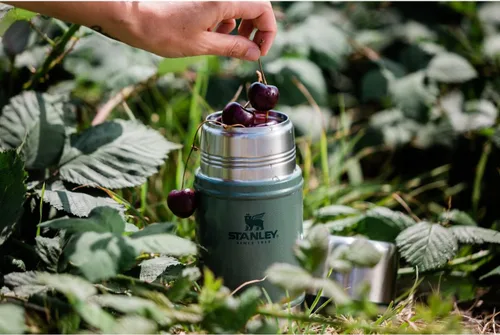Miniatura 4 de STANLEY Legendary Classic - Recipiente para alimentos de 24 onzas, verde efecto martelé