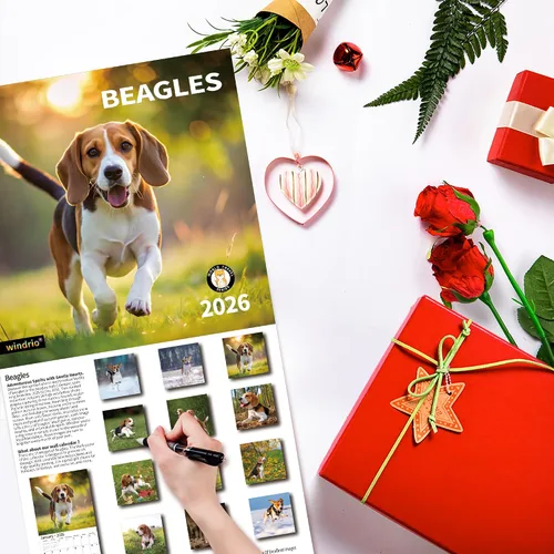 Miniatura 6 de Calendario de Pared 2026, Calendario 2026, noviembre de 2025 a diciembre de 2026, Calendario de Pared Beagles, 12" x 24" abierto, página completa