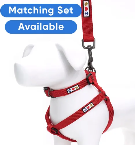 Miniatura 5 de Collar para mascotas Pawtitas, de 6 pies, de nailon, suave, ajustable, color sólido. El collar y arnés a juego para perros y cachorros se venden por