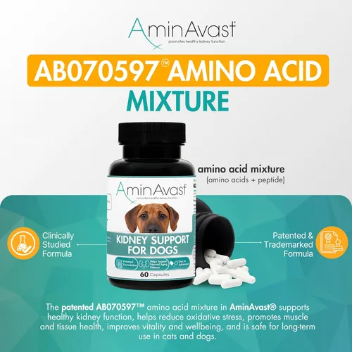 Miniatura 3 de AminAvast Suplemento de riñón para perros - Apoya la función renal natural - Promueve la salud y la vitalidad del envejecimiento de los riñones