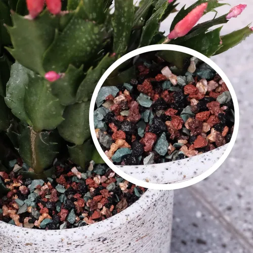 Miniatura 3 de Mezcla de rocas de lava de 10 libras para plantas de grava, guijarros para bonsái suculentas, tierra para macetas, aderezos y plantas de terrario