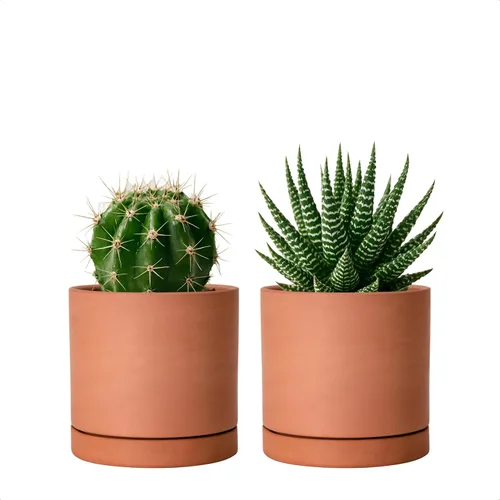 Miniatura 17 de D'vine Dev Maceta de Terracota Extra Pequeña de 4 Pulgadas con Orificio de Drenaje y Platillo, Maceta Cilíndrica Redonda para Plantas