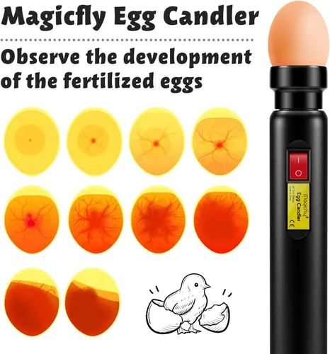 Miniatura 5 de Magicfly Probador de huevos recargable con luz LED fría brillante para monitorear el desarrollo de huevos, lámpara de candelabro LED