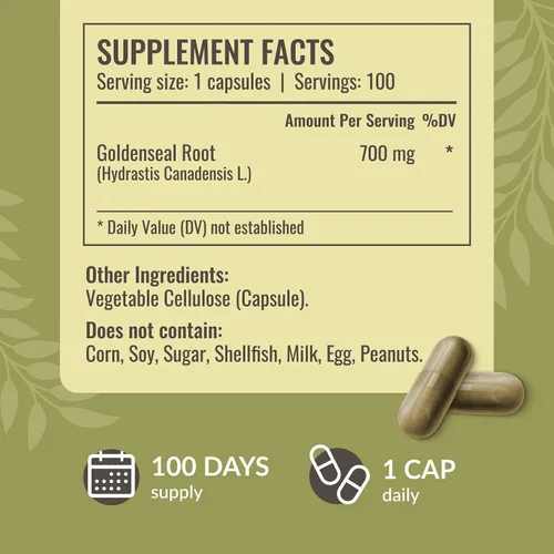 Miniatura 3 de HERBAMAMA Goldenseal - Cápsulas de raíz de 700 mg - Sistema respiratorio y apoyo inmunológico con suplemento en polvo de sello dorado, vegano, sin
