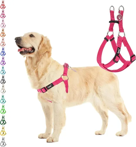 Miniatura 10 de PUPTECK arnés para perro para no jalar, reflejante, ajustable, básico, de nailon, chaleco para cachorro, para caminar al aire libre con etiqueta