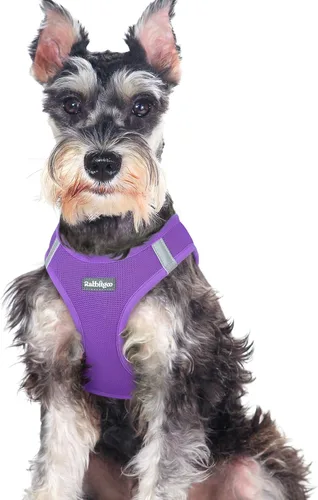 Miniatura 30 de rabbitgoo Arnés para perro pequeño, chaleco de malla suave para cachorros con hebilla de seguridad, arnés reflectante transpirable para mascotas