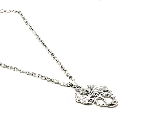 Miniatura 5 de DALUNDREAMLI Personalized Fierce Animal Dragon Necklace Dragon Jewelry Infinite Charm Friendship Necklace Pendants Gift