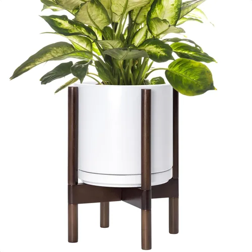 Miniatura 29 de D'vine Dev Maceta de cerámica con soporte de ébano – Maceta redonda moderna de 8 pulgadas con soporte para maceta de madera, color negro, 55-B-M-2