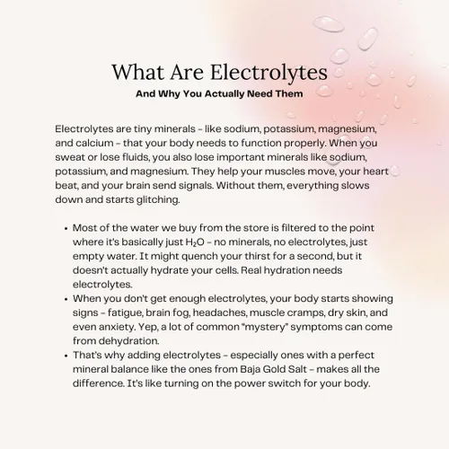 Miniatura 8 de Polvo de electrolitos – Cero azúcar, bajo en sodio, Keto, para labios secos agrietados, hecho con sal Baja Gold, sabor natural, 45 porciones