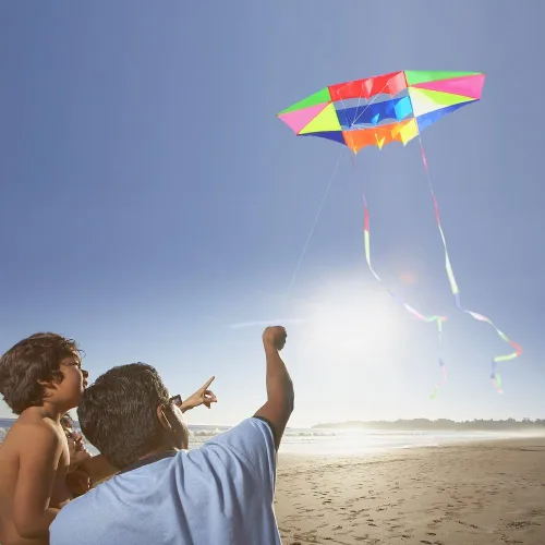 Miniatura 6 de Cometas de playa para adultos grandes con cola larga, 98 pulgadas Super Easy Flyer 3D Rainbow Box Kites, viene con dos colas de varios colores de 49