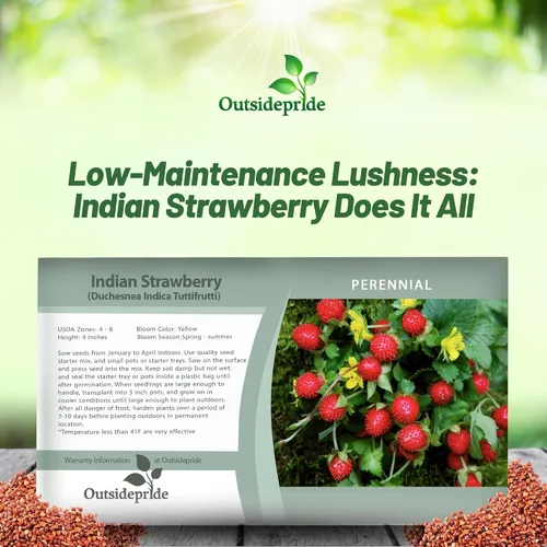 Miniatura 6 de Outsidepride Plantas frutales indias de fresa y cobertura del suelo - 500 semillas