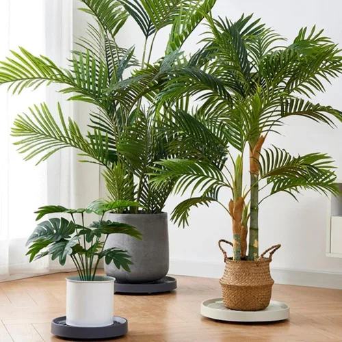 Miniatura 5 de Yiting Heavy Duty Plant Caddy with Wheels 2pack - 11 inch Rolling Plant Stand for Potted Plants, Plant Dolly with Casters , Plant Roller Pot Base