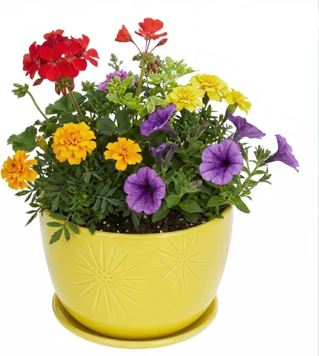 MyGift - Maceta redonda de cerámica amarilla de 17,78 cm con orificio de drenaje y platillo adjunto, moderna y decorativa, con relieve en forma de