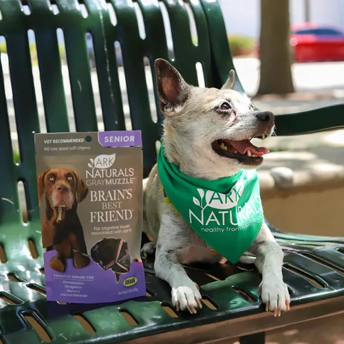 Miniatura 5 de Ark Naturals Gray Bozal Brain's Best Friend - Masticables suaves recomendados por veterinarios para problemas cognitivos asociados