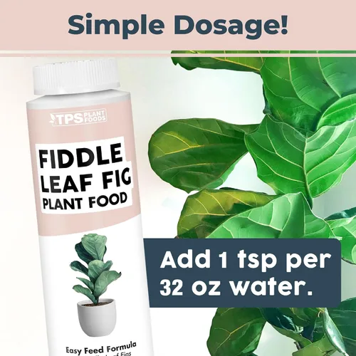 Miniatura 3 de Fiddle Leaf Fig Plant Food – Fertilizante líquido para hojas más grandes, raíces más fuertes y un nuevo crecimiento saludable, 8 onzas