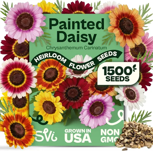 Miniatura 9 de Queen Anne 's Lace- 200 semillas – 50% de descuento venta