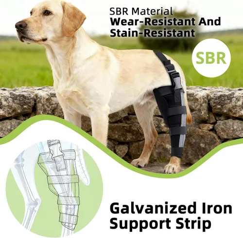 Miniatura 4 de Rodilleras ortopédicas para perros, rodillera para perro para ligamento cruzado y soporte de pierna trasera, soporte canino para recuperación
