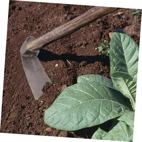 Miniatura 8 de Yardwe Jardín Azada Jardín Cultivador Herramientas de Jardinería Weeder Digging Herramientas de mano