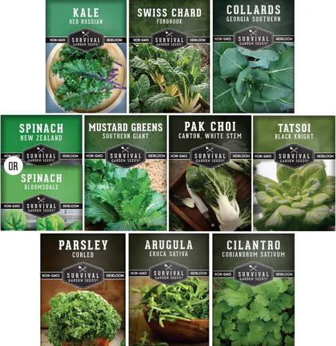 10 Power Greens Seed Collection - Coles de reliquia, mostaza, acelgas, espinacas, col rizada, tatsoi, pak choi y más para plantar otoño y primavera