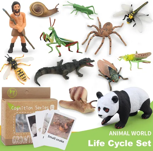 Miniatura 5 de Montessori Life Cycle Animal Insect Figurines Juguetes de aprendizaje y educación, juguetes de insectos de plástico para niños, actividades