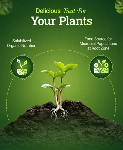 Miniatura 3 de FoxFarm Bushdoctor Bembé concentrado, fertilizante líquido de acción rápida para plantas, mejora los azúcares naturales para la dulzura y el sabor