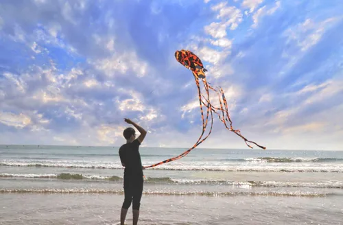 Miniatura 5 de Cometa grande, pulpo, sin esqueleto, cometas de parapista suave para niños y adultos, playa, parque, jardín, patio de juegos, diversión