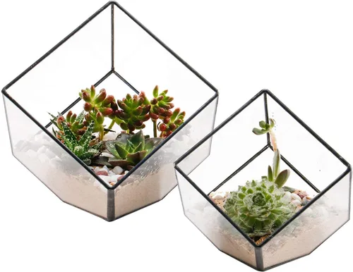 Miniatura 10 de ELEGANTLIFE Terrario geométrico de cristal para plantas suculentas, maceta de aire para decoración del hogar, jardín, oficina (casa negra)