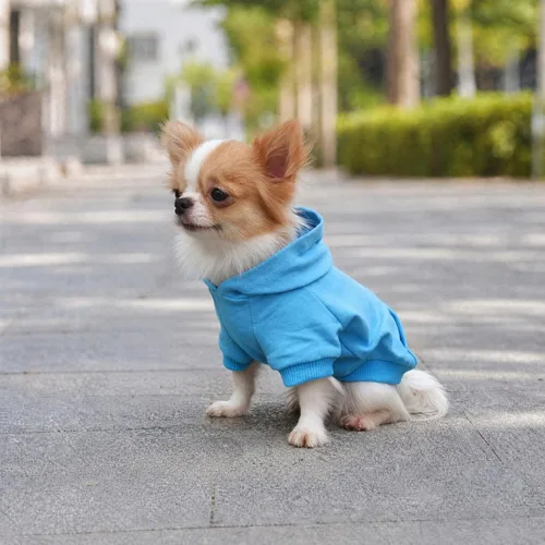 Miniatura 7 de LOPHIPETS Sudaderas con capucha de algodón para perros pequeños, chihuahua, ropa para cachorros, abrigo para clima frío, color azul Cambridge