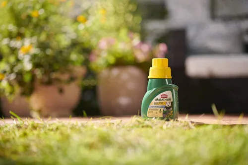 Miniatura 5 de Ortho MAX Malathion Repelente de Insectos en Aerosol Concentrado, 16 oz.