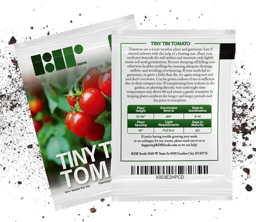 Miniatura 7 de 50 semillas de tomate Tiny Tim para plantar, tomate de patio, reliquia enana, tomate cherry - por RDR Seeds
