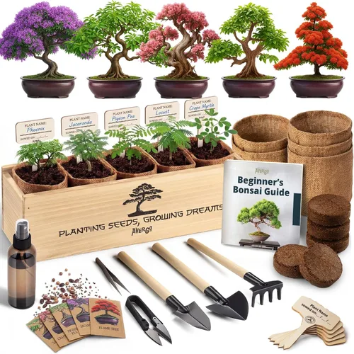 Miniatura 11 de Kit de árbol bonsái clásico, 5 árboles bonzai japoneses únicos Kits completos de inicio de bonsái de interior para árboles en crecimiento