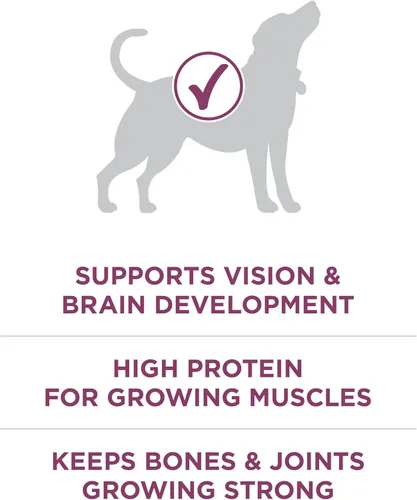 Miniatura 4 de Purina ONE Plus Healthy Puppy Formula Alimento seco natural con alto contenido de proteínas para cachorros con vitaminas, minerales y nutrientes