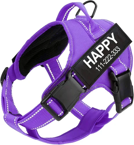 Miniatura 10 de Arnés para perro con nombre personalizado con parche personalizado, chaleco para mascotas sin tirones, fácil control para entrenamiento de caminatas