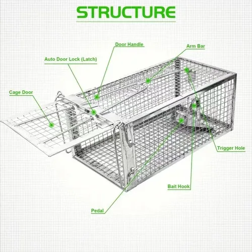 Miniatura 4 de 1 trampa humana para ratas, trampa para roedores de ardilla para interiores y exteriores, para animales pequeños – ratones de ratón, hámsters, jaula