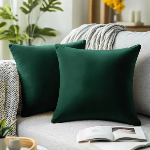 QUORGVES Juego de 2 fundas de almohada de terciopelo verde de 20 x 20 pulgadas, fundas de almohada cuadradas decorativas suaves y sólidas, fundas de