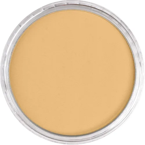 Miniatura 6 de PanPastel Golden - Pasteles para artistas, oro intenso, 2.44 pulgadas de diámetro de pan, pasteles profesionales para artistas, formato único de Oro