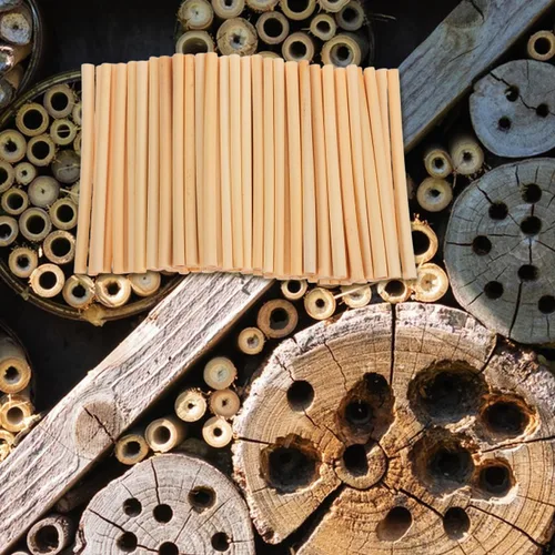 Miniatura 4 de GANAZONO 500 tubos de nido de abeja para nido de abeja, tubos de repuesto para casa de abejas, tubos de repuesto reemplazables para abejas, tubos